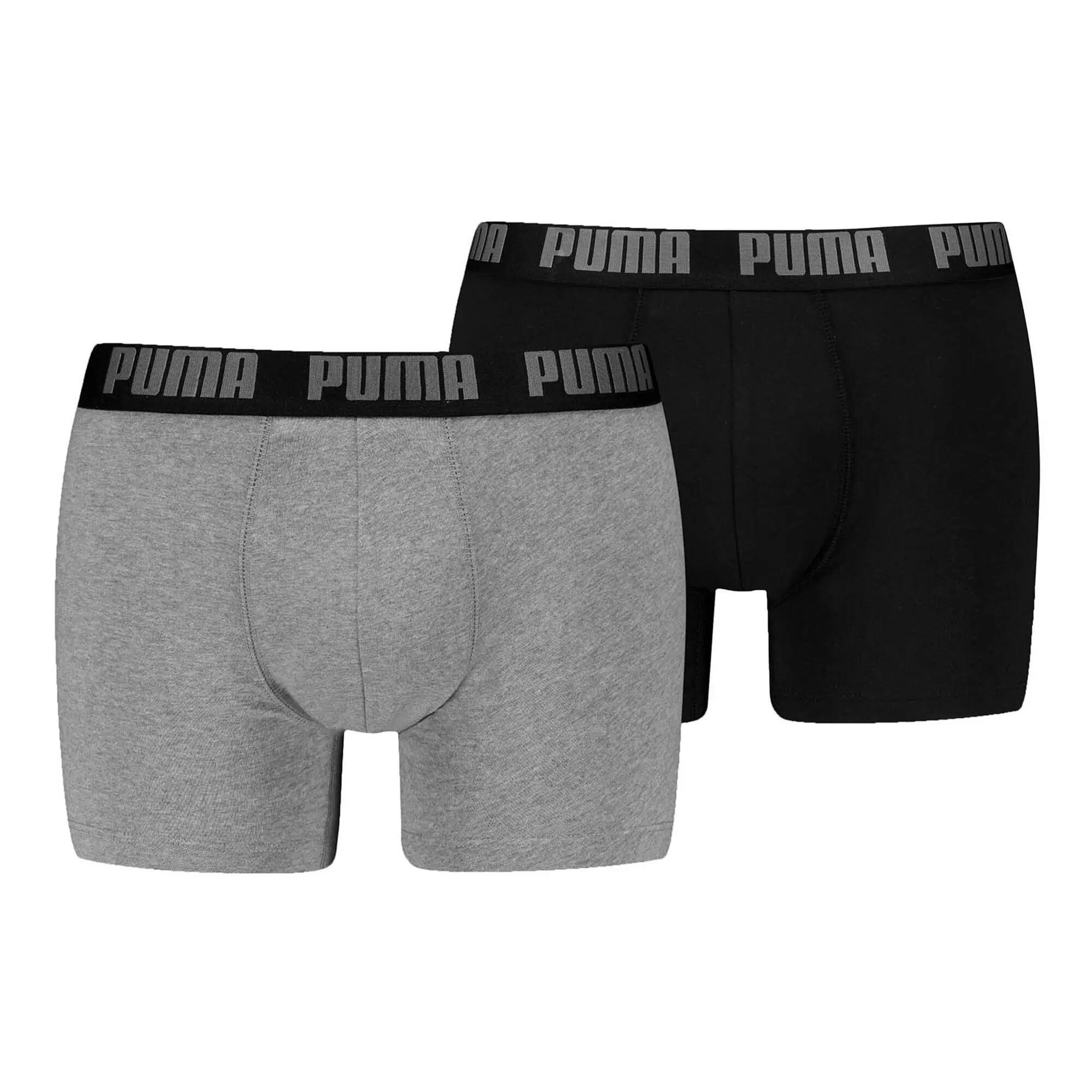 PUMA picture