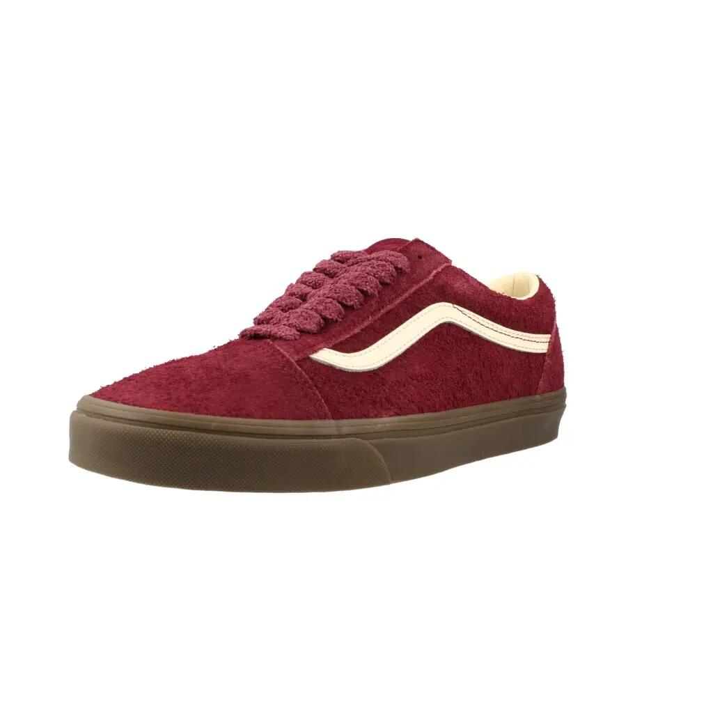 VANS picture