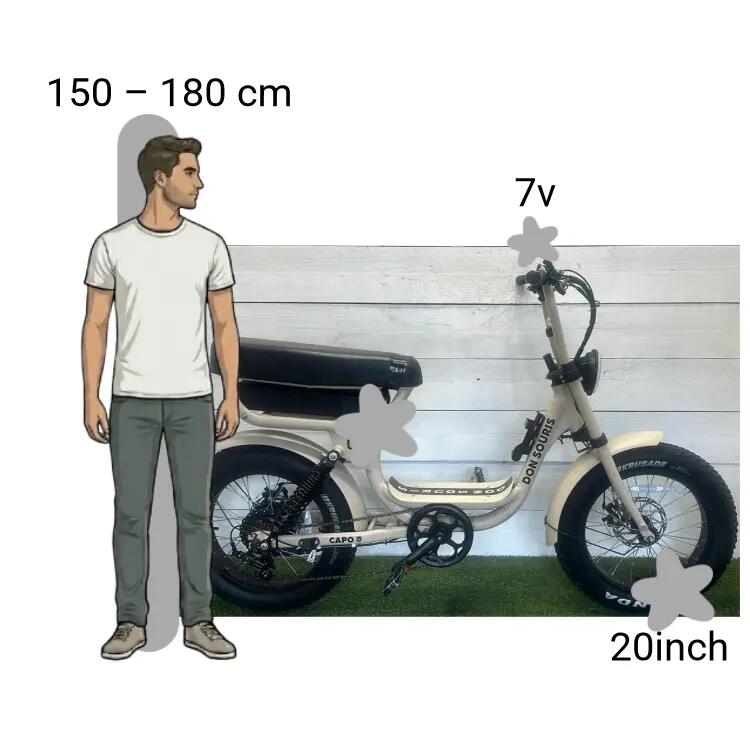 Bicicletta usata Don Souris Capo 2/4