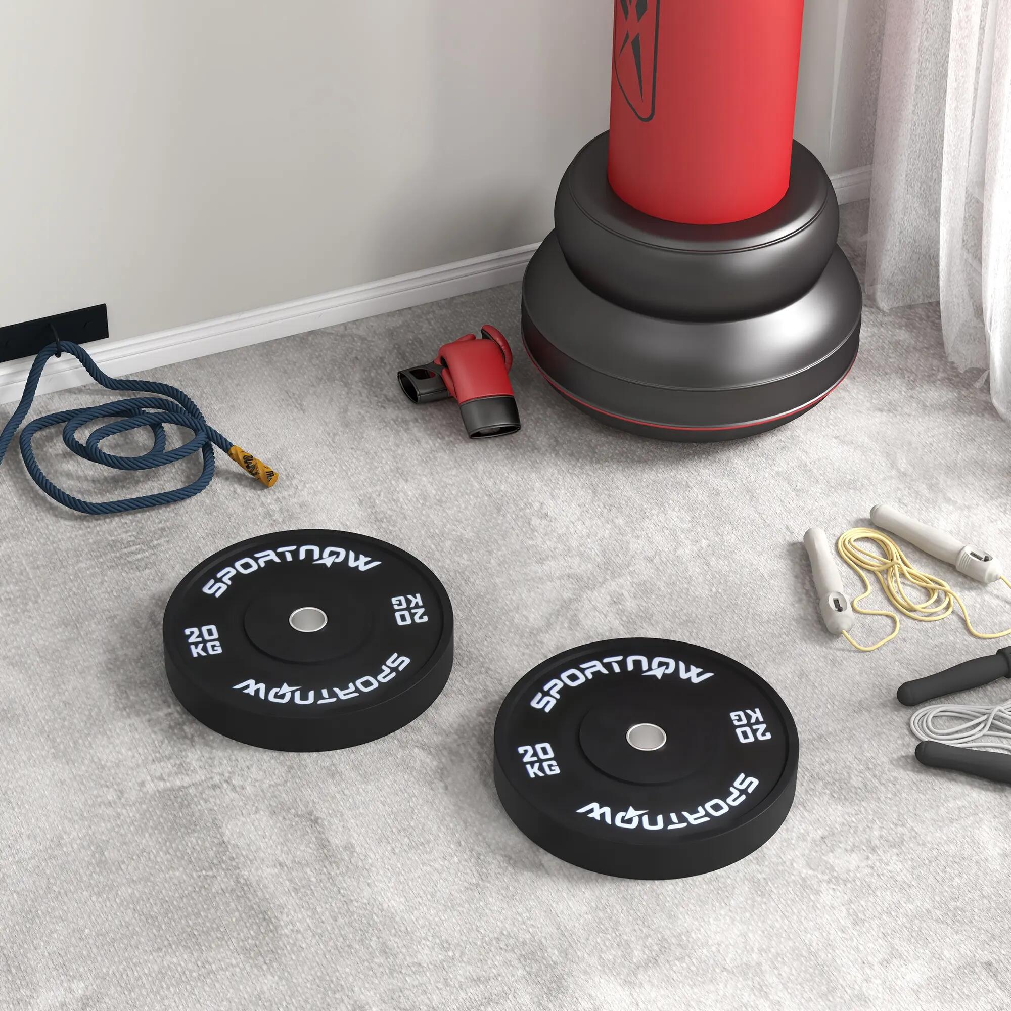 Lot de 2 disques de musculation de 20 kg pour haltères et barres, avec fixation 4/9