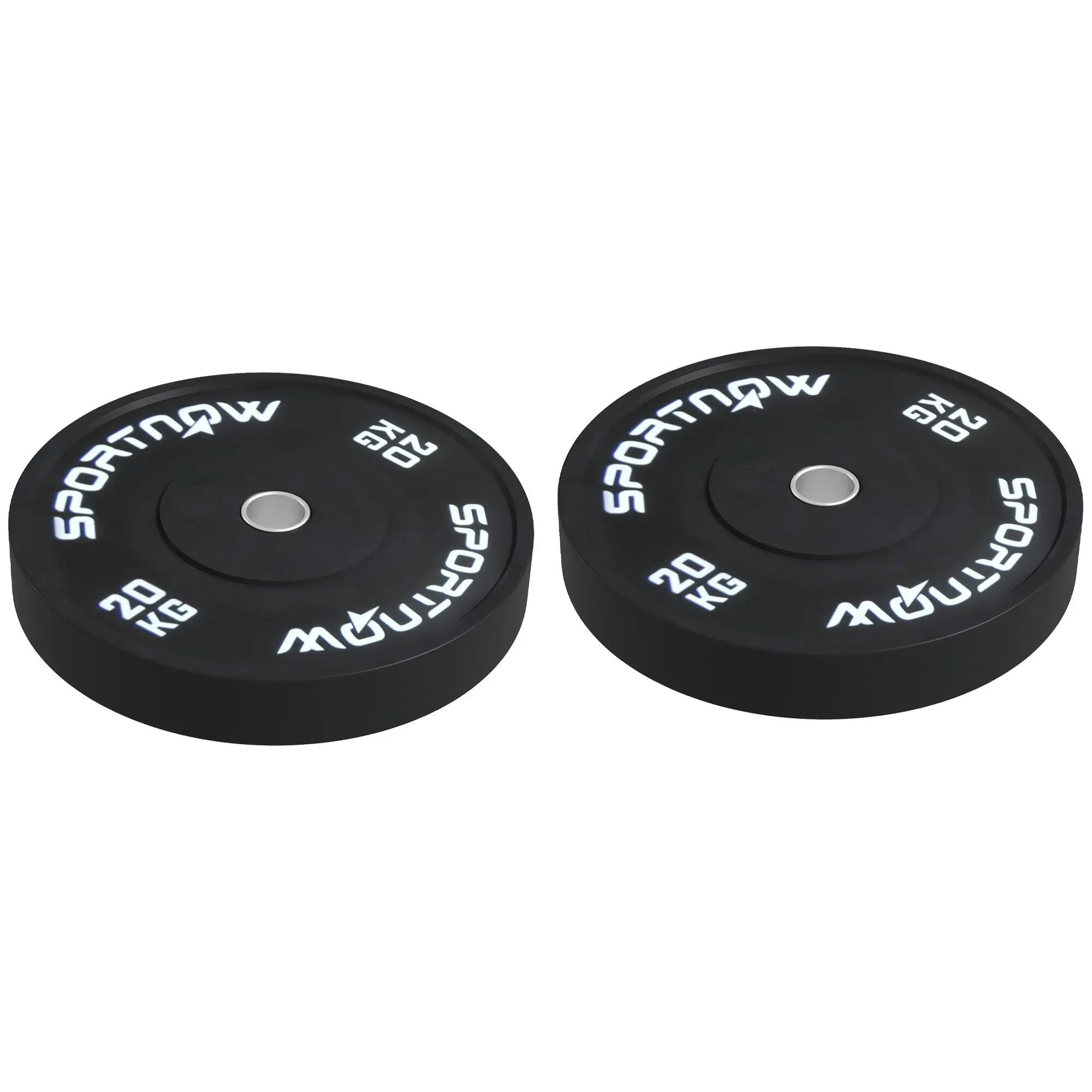 Lot de 2 disques de musculation de 20 kg pour haltères et barres, avec fixation 2/9
