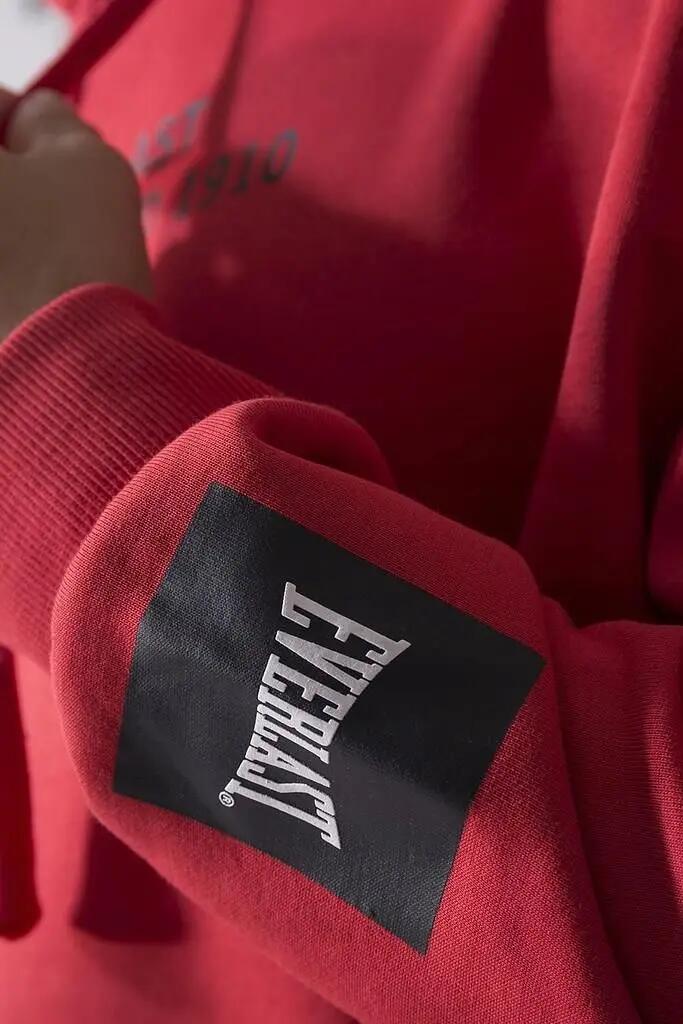 Men - Sportswear - Hoodie - Regular Fit, Fleece-Lined - Rot 4/5