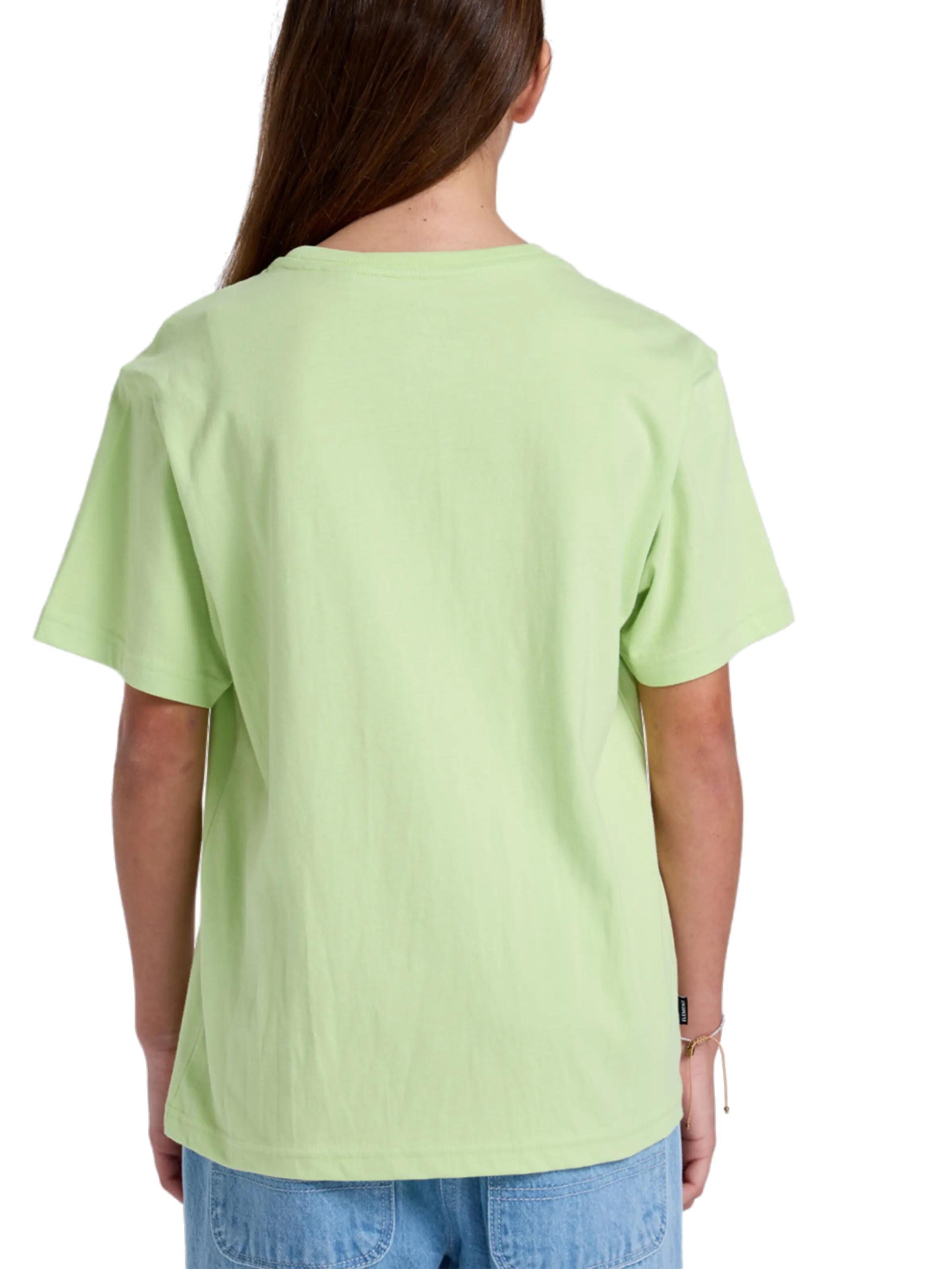 Camiseta - monopatín - hombre - manga corta - lettuce green 2/2
