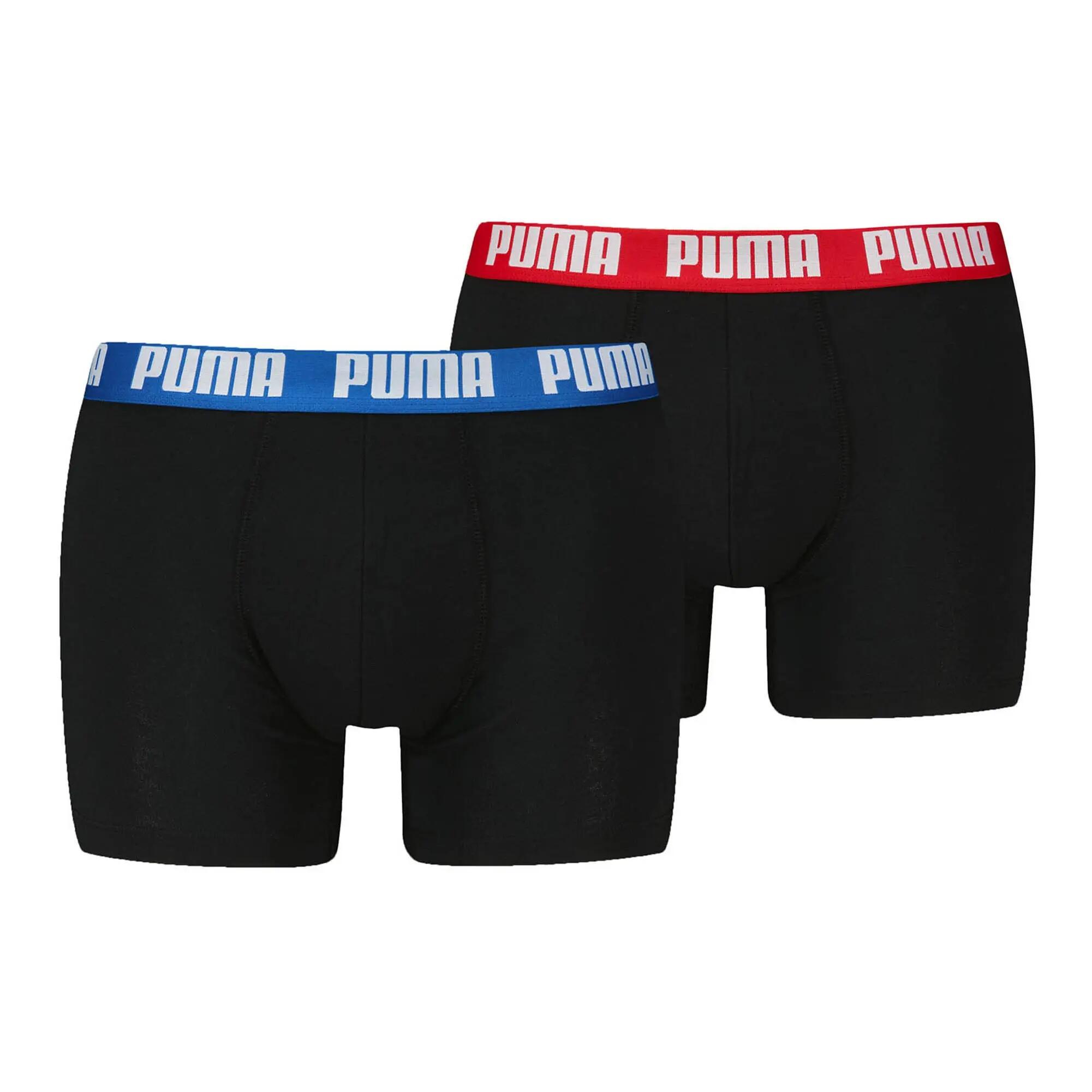 PUMA picture