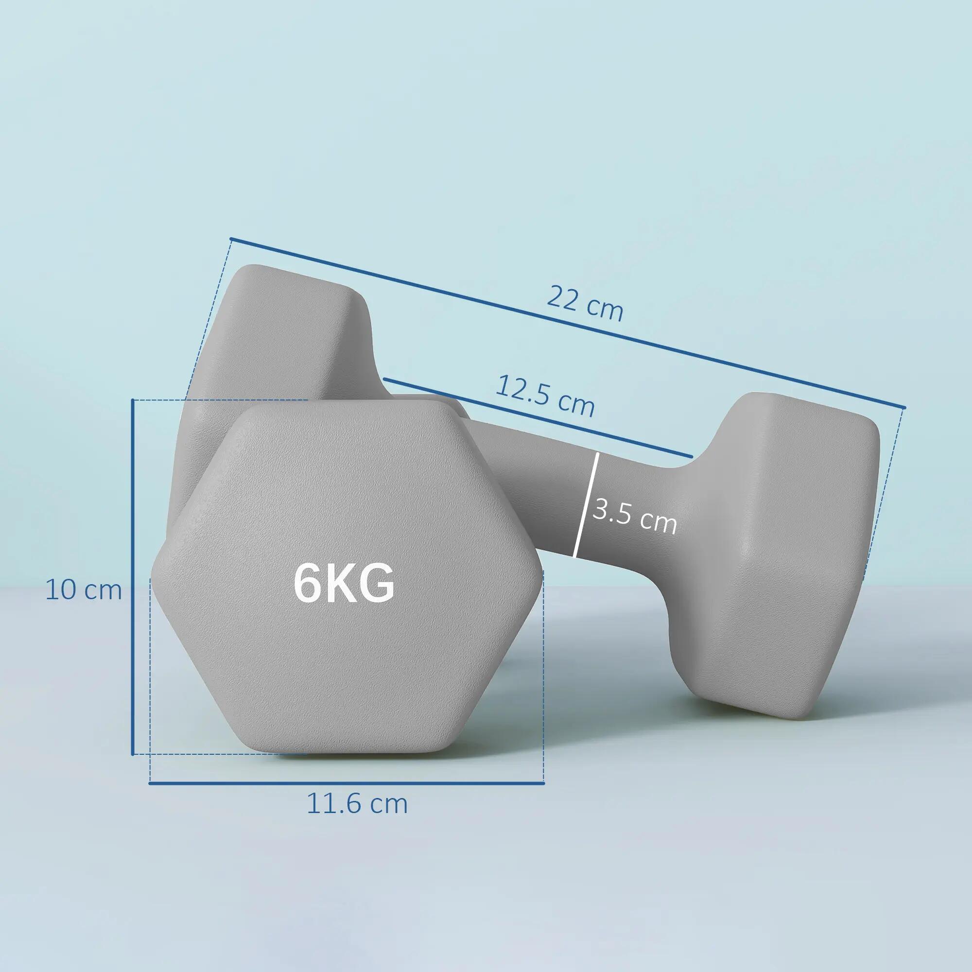 Lot de 2 haltères hexagonales, 2 x 6 kg, métal et plastique, avec poignée antidé 5/9