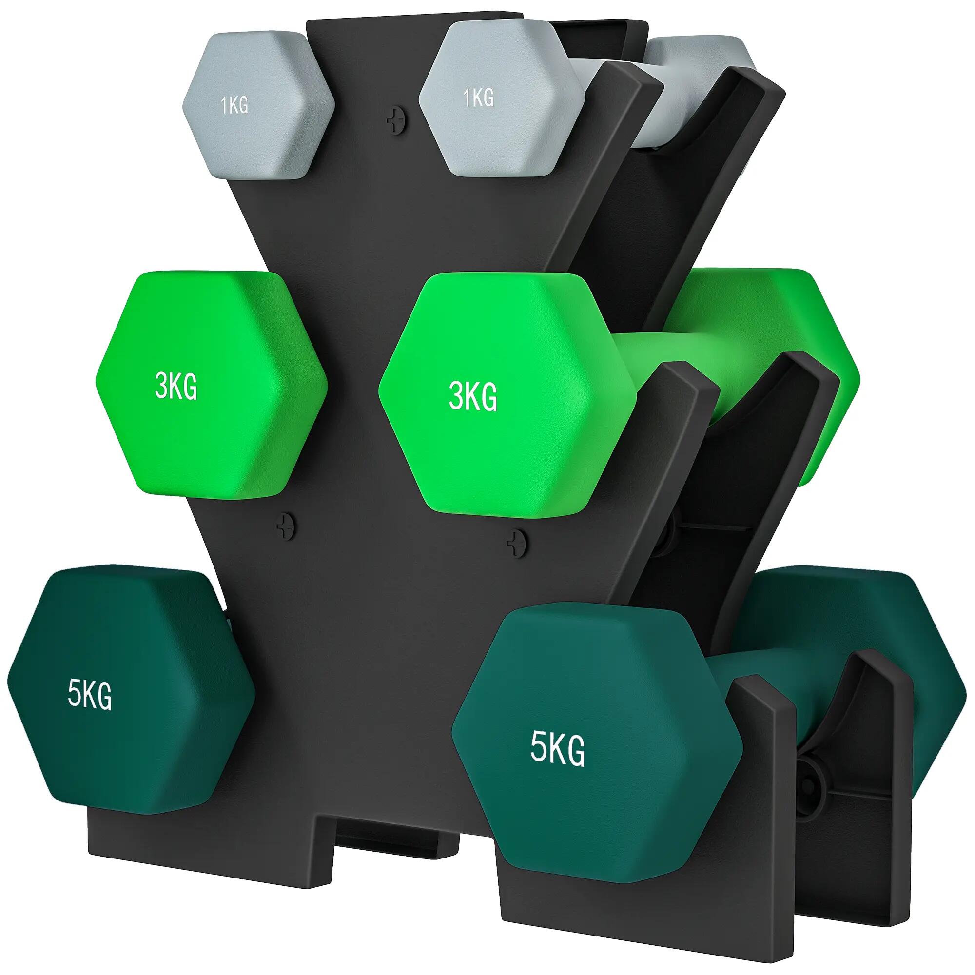 Ensemble d'haltères avec support de rangement, comprenant 6 haltères pour l'entr 2/9
