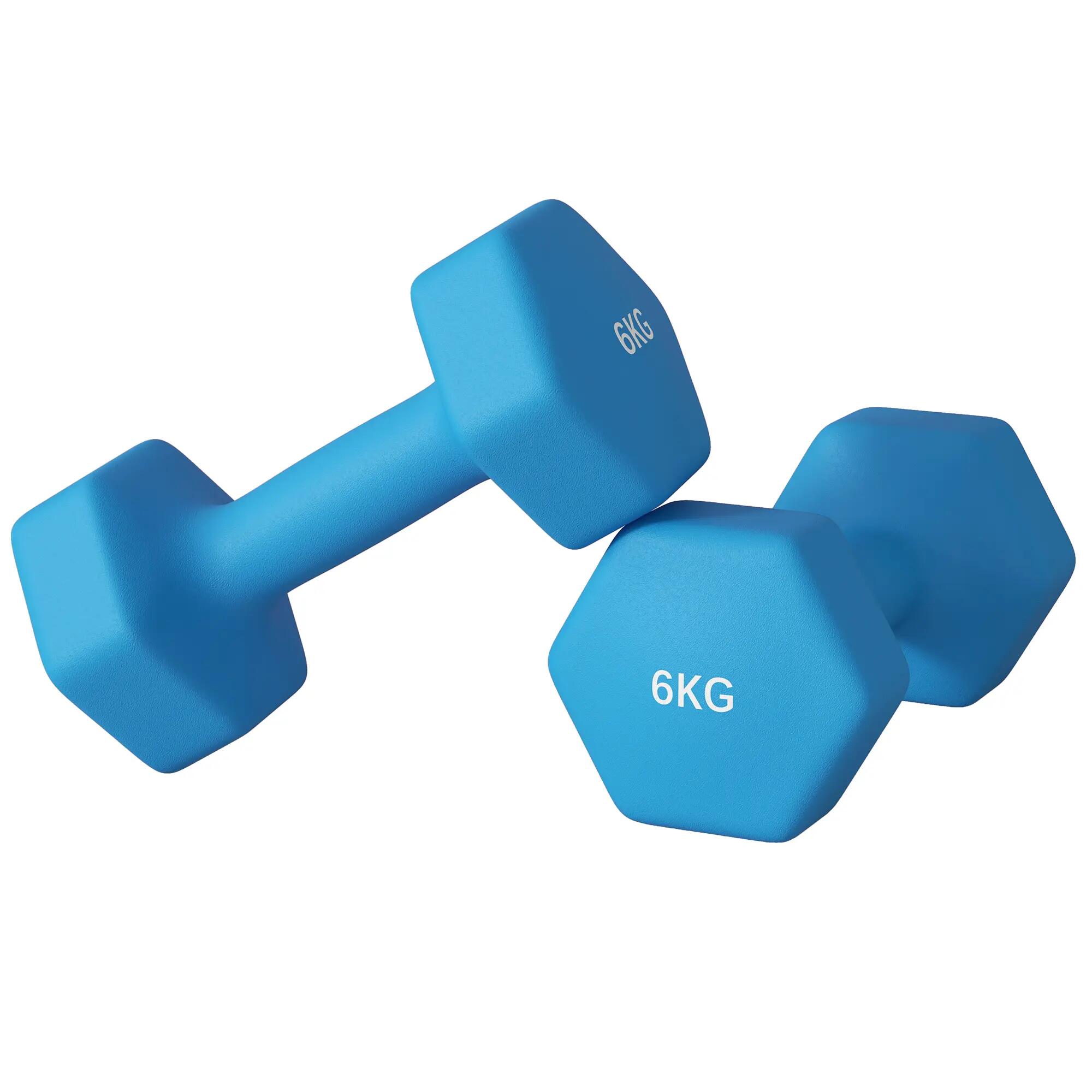Lot de 2 haltères hexagonales 2 x 6 kg en métal et plastique avec poignée antidé 2/9
