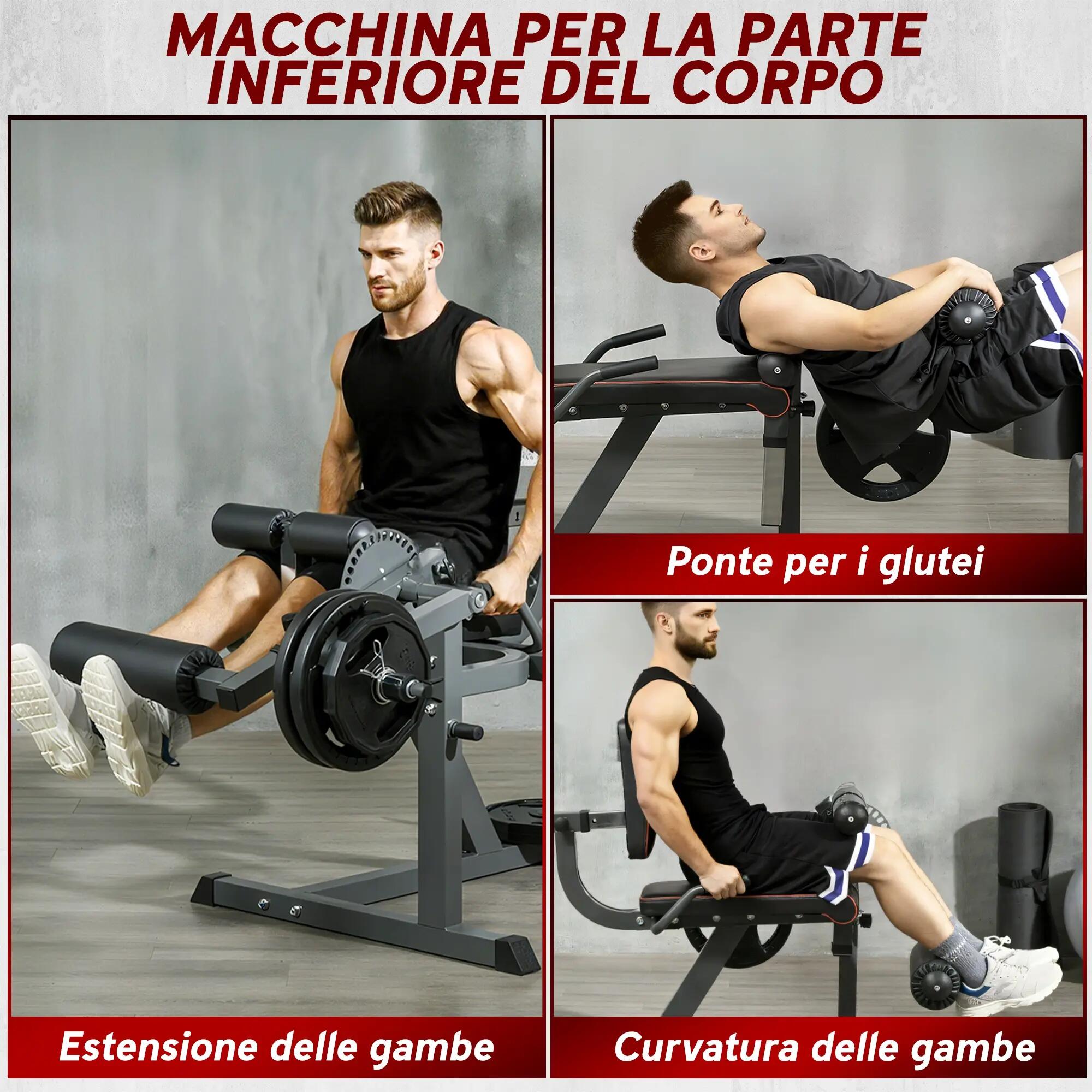 Appareil d'extension et de flexion des jambes avec dossier et coussins réglables 6/9