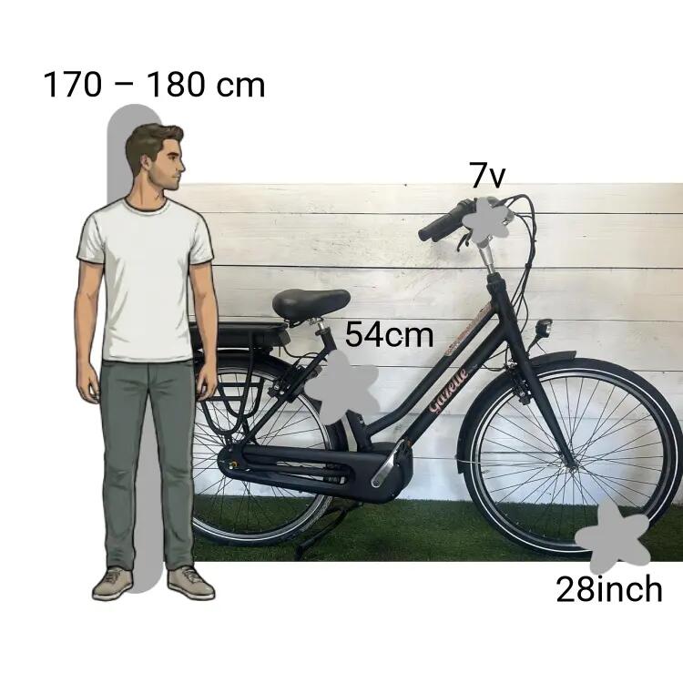 Bicicletta usata Gazelle Miss Grace C7 HMB 2/4