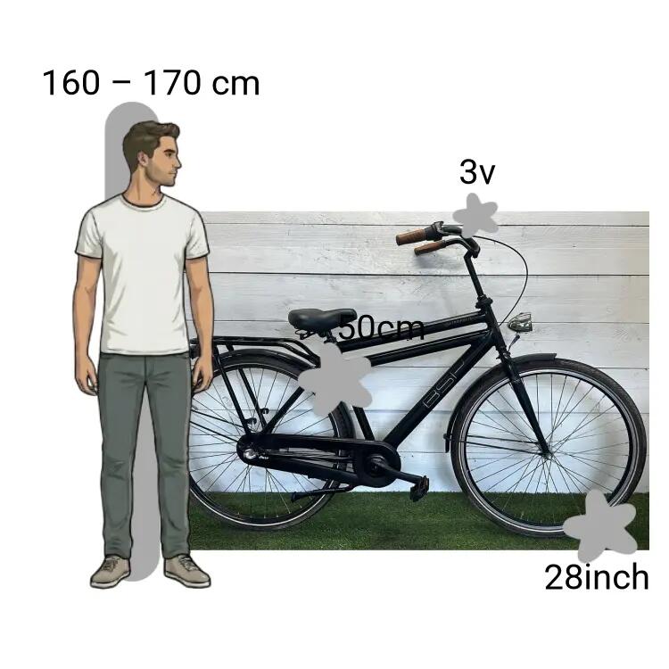 Bicicletta usata BSP Metropolis 2/4