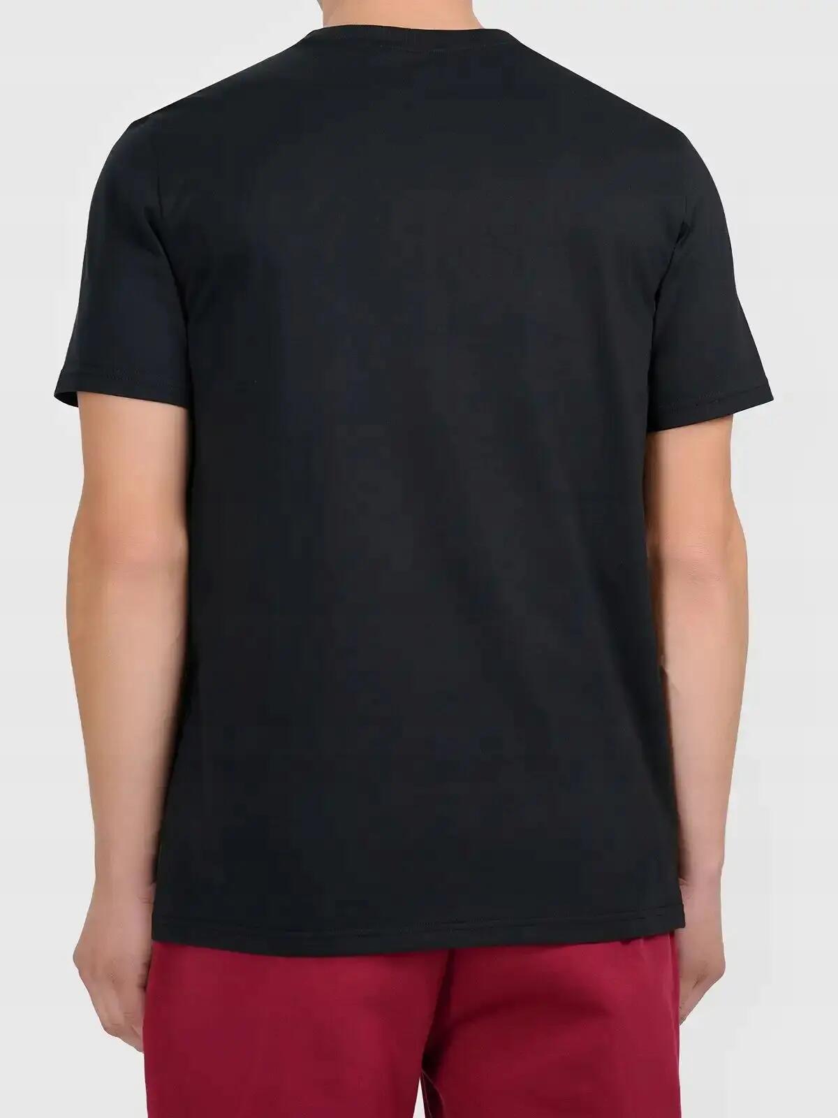 T-SHIRT MĘSKI 4F KOSZULKA ZESTAW KOMPLET 2 SZTUKI L TTSHM3341 5/6