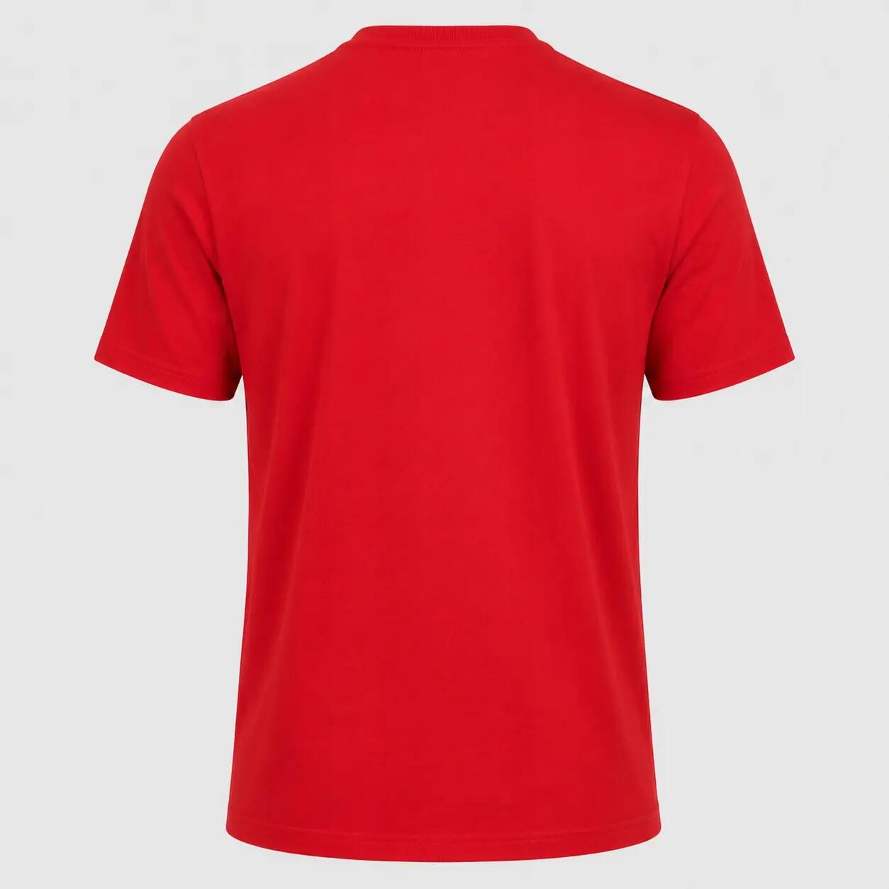 KOMPLET KOSZULEK T-SHIRT MĘSKI 4F ZESTAW 3PAK 5/8