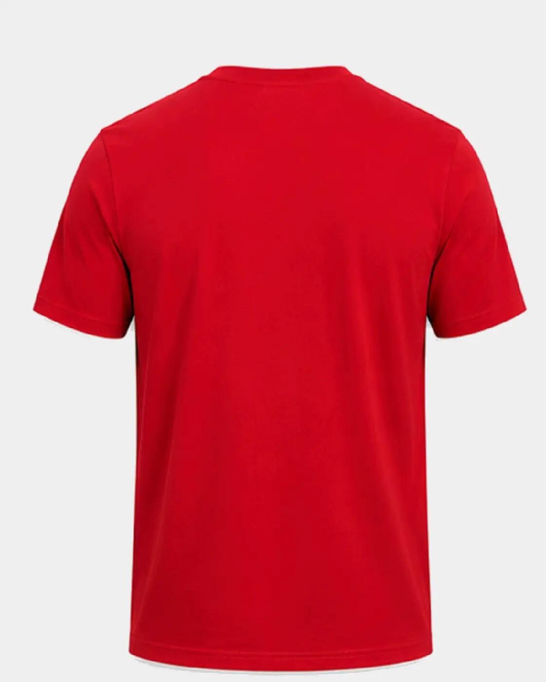 KOMPLET KOSZULEK MĘSKICH 4F T-SHIRT SPORTOWY 3PAK ZESTAW NA CO DZIEŃ 5/8