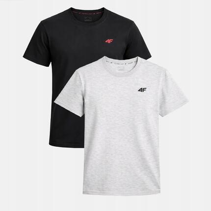 T-SHIRT MĘSKI 4F KOSZULKA ZESTAW KOMPLET 2 SZTUKI L TTSHM3341