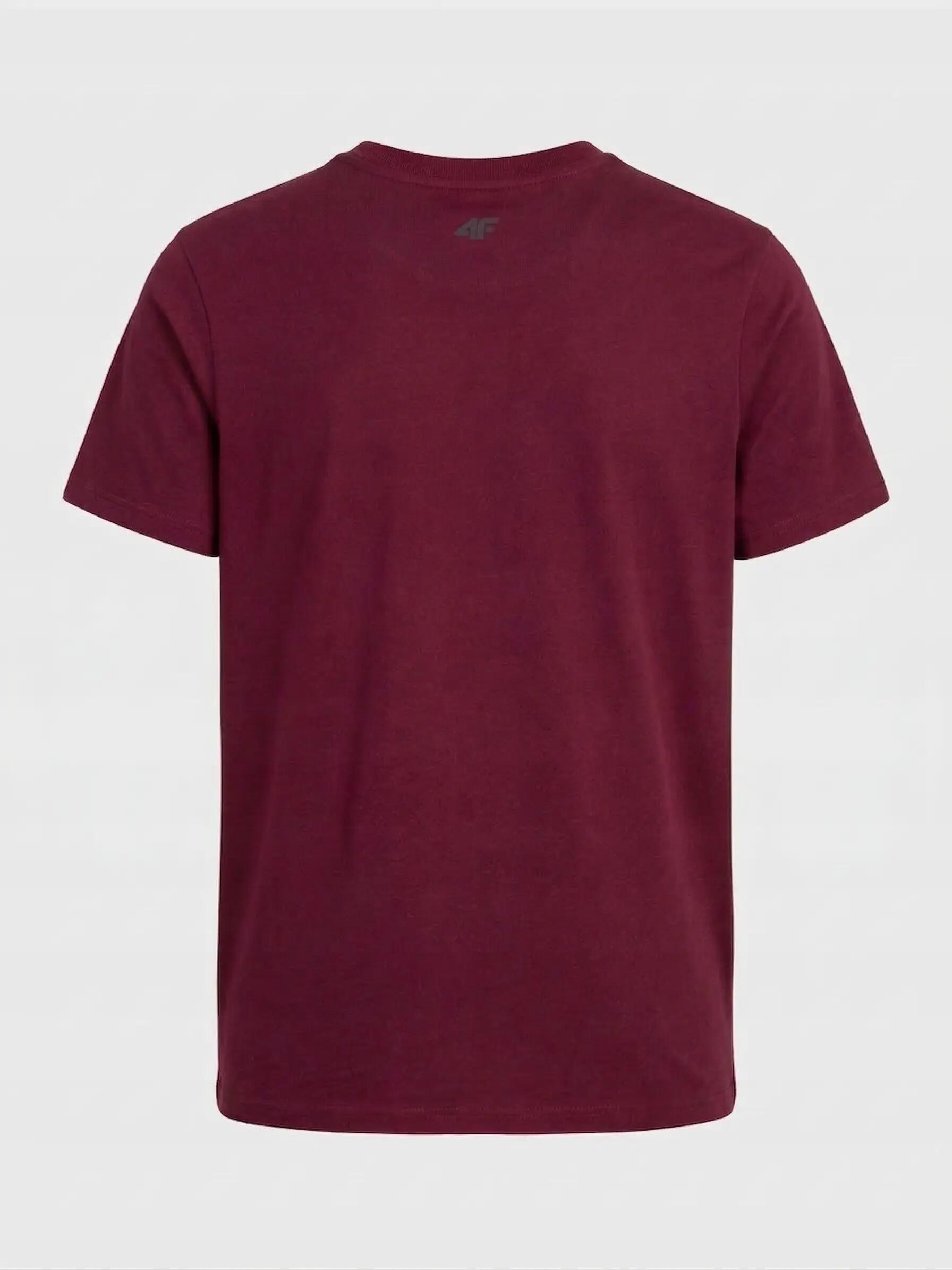 KOSZULKA 4F T-SHIRT MĘSKI BAWEŁNIANY SPORTOWY LIMITOWANY  M3947 SS26 3/4