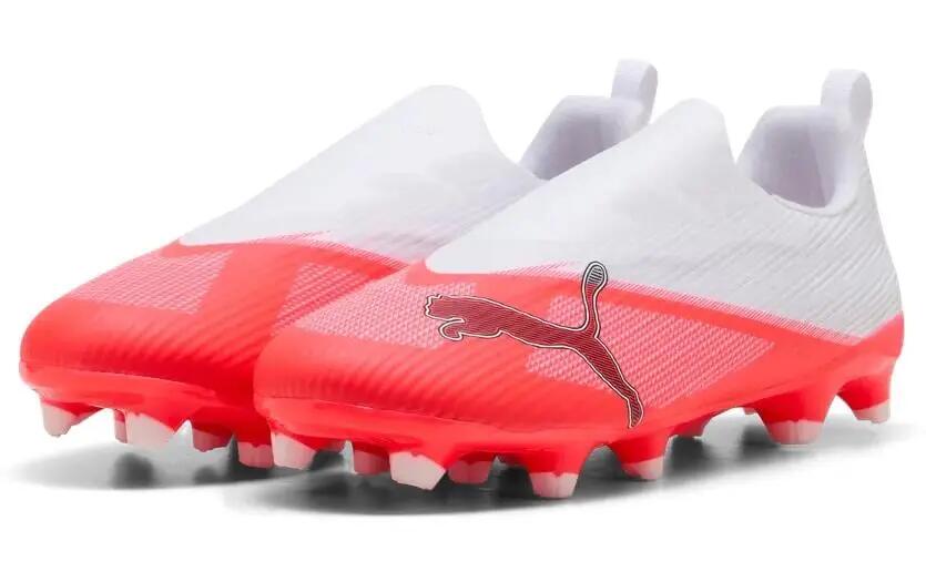 PUMA picture
