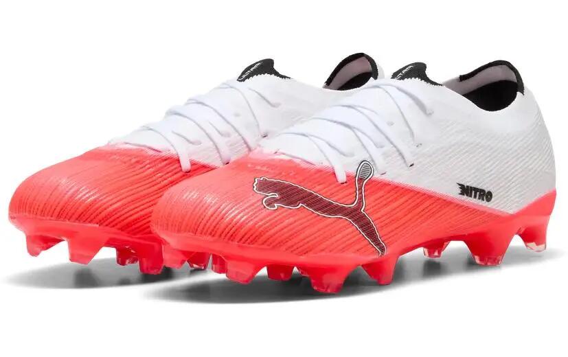 PUMA picture