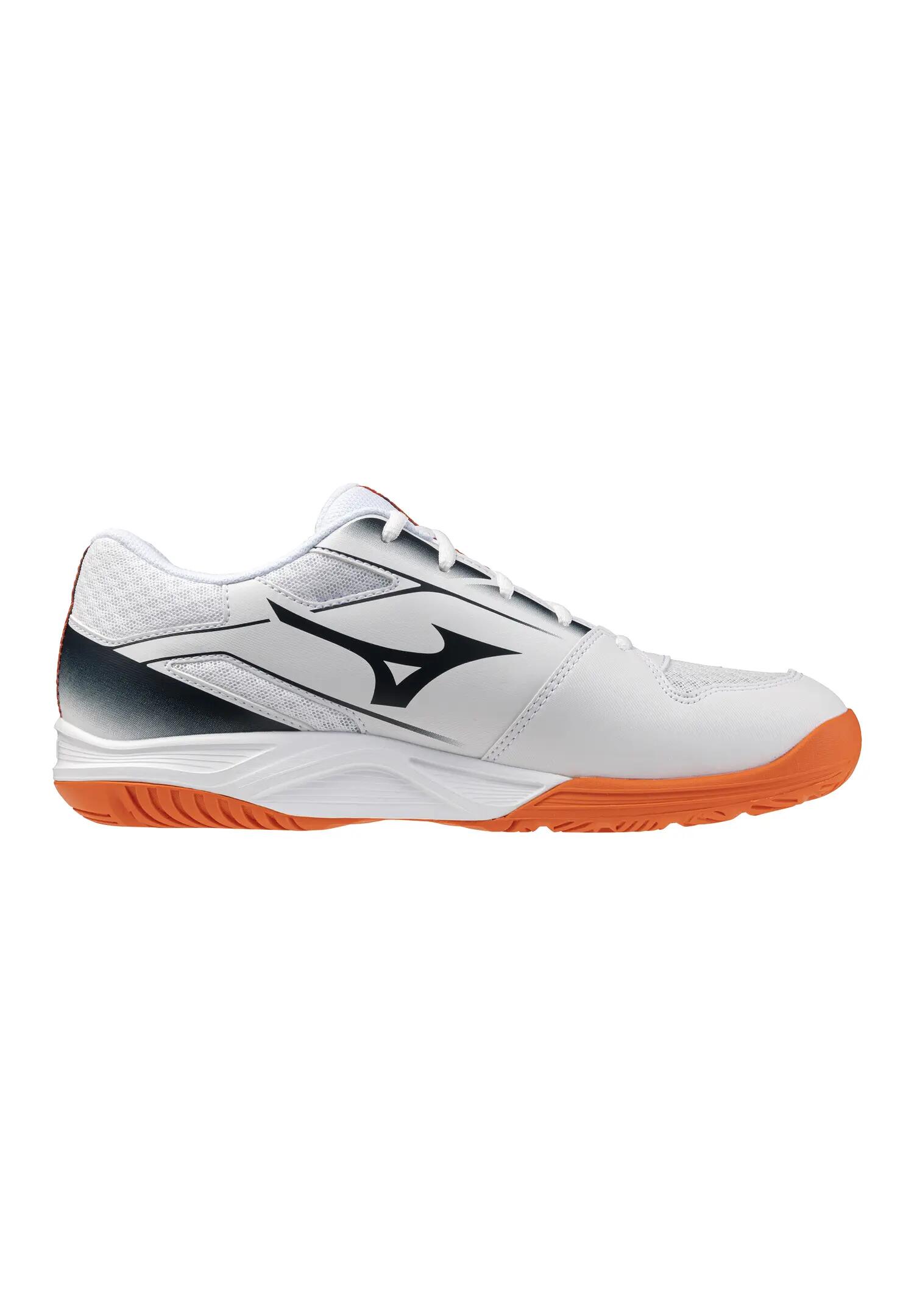 MIZUNO picture