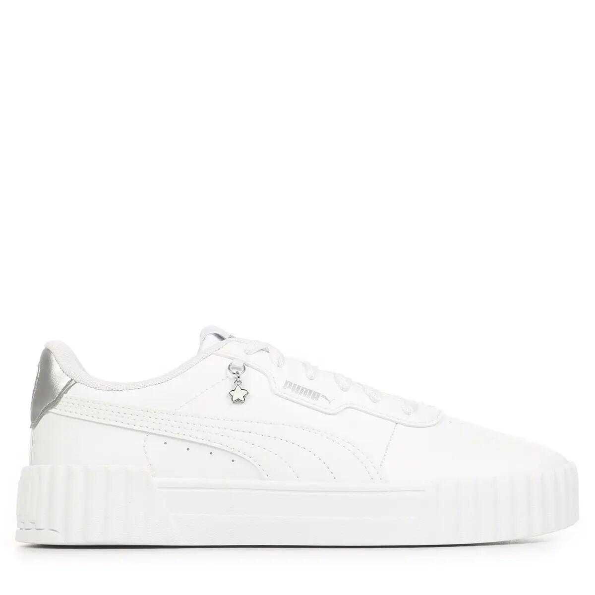 PUMA picture