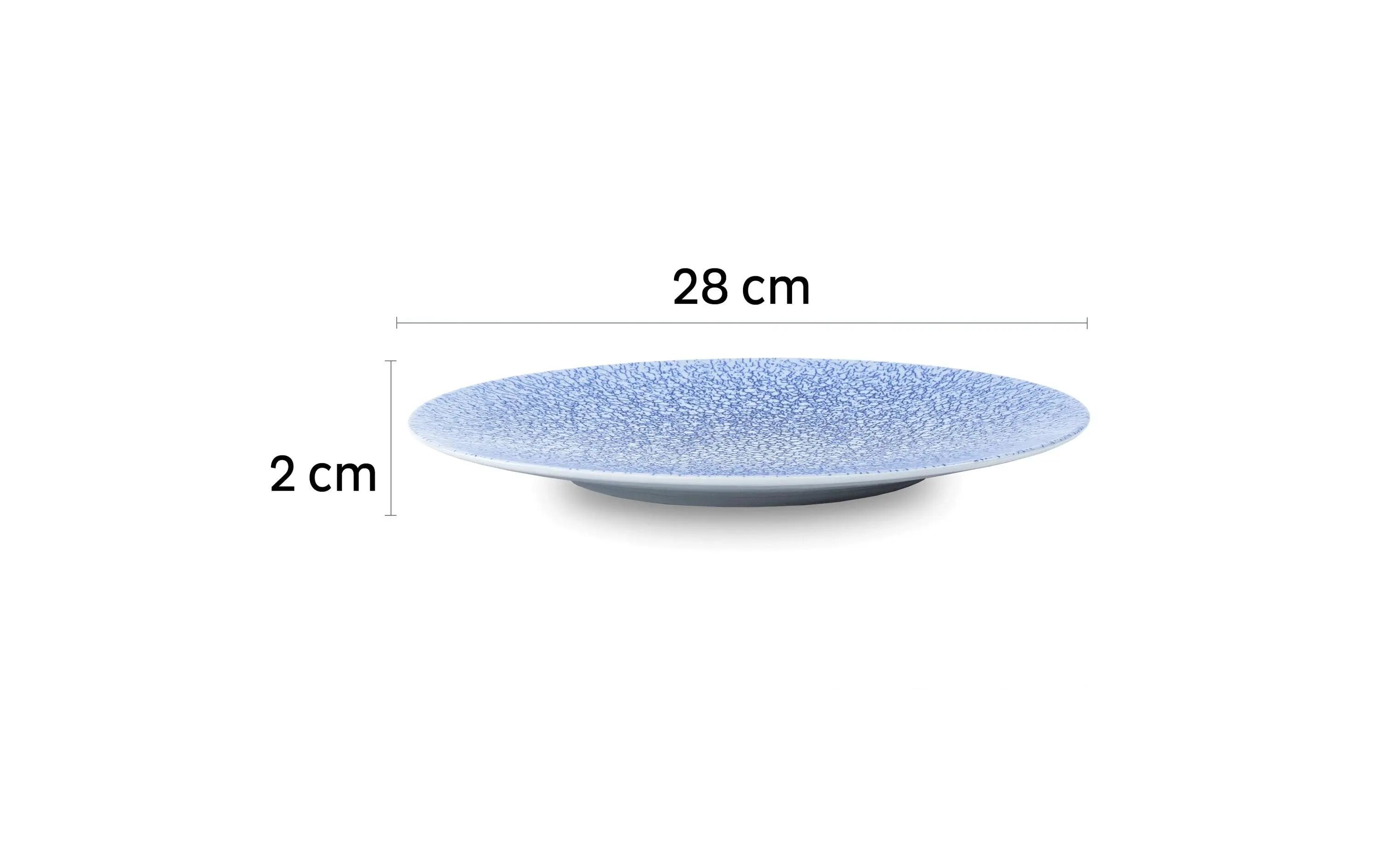 Silwy Magnetic Dinner Plate Blue 3/3