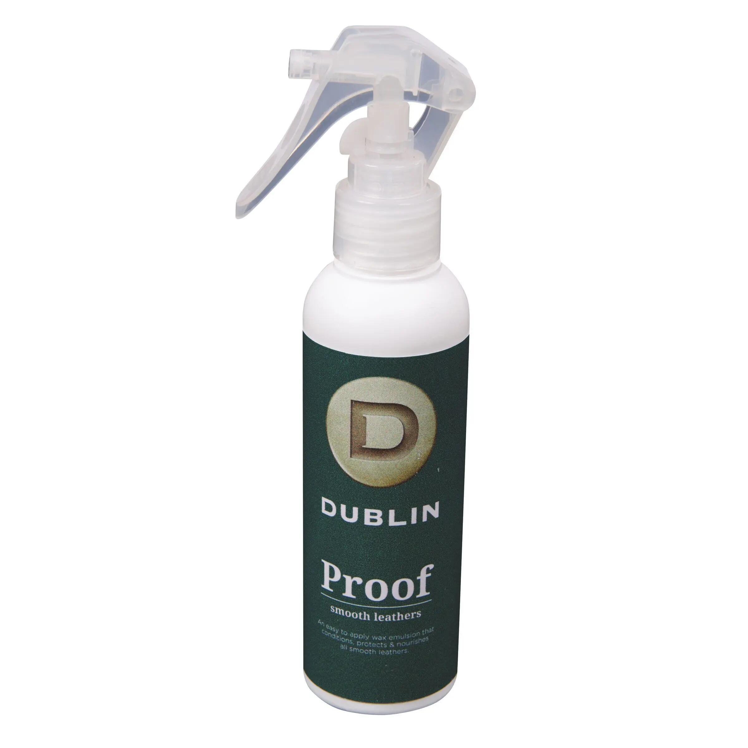 DUBLIN picture