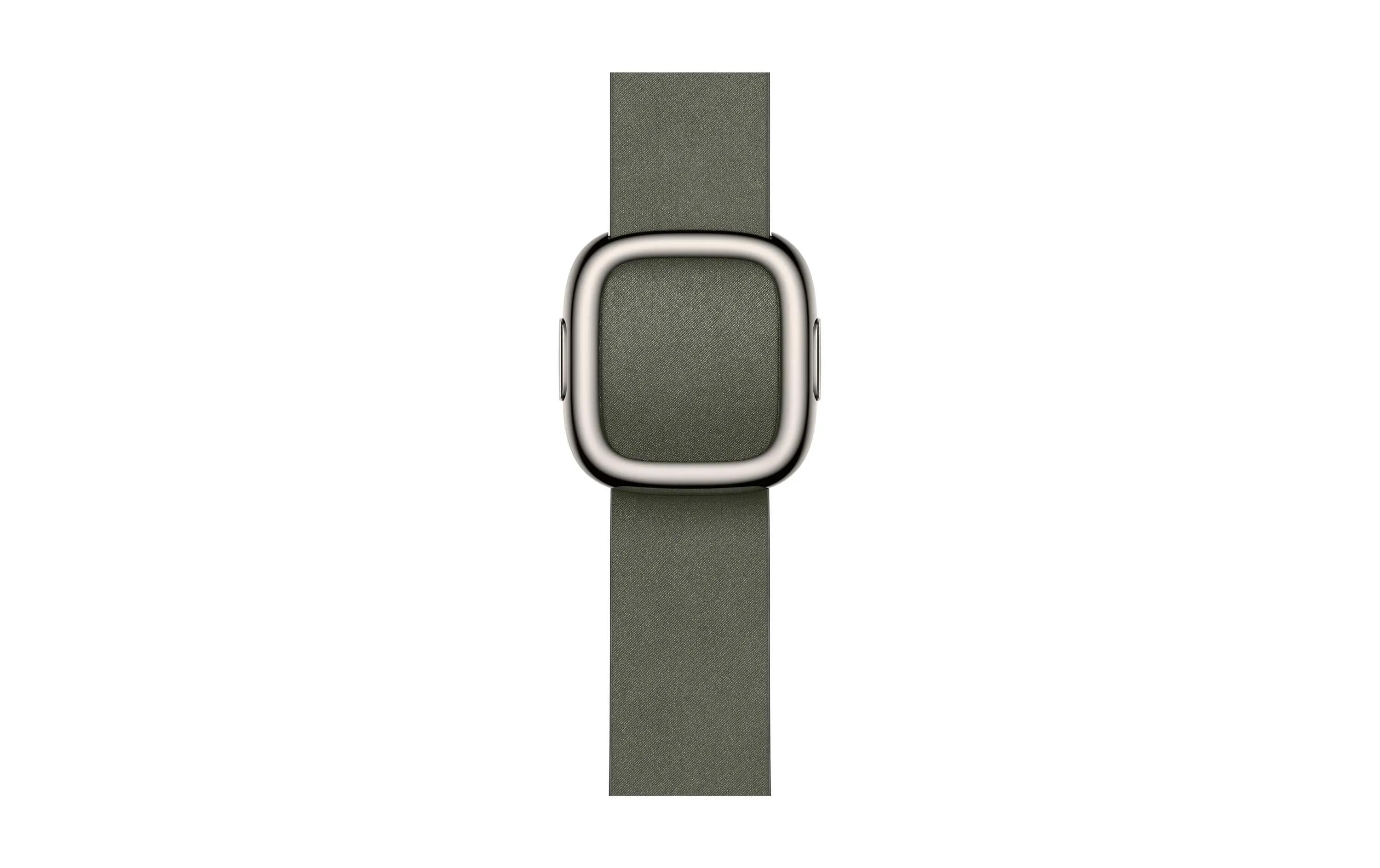 Apple Modern Buckle 42 mm Gris Sauge Small 2/3
