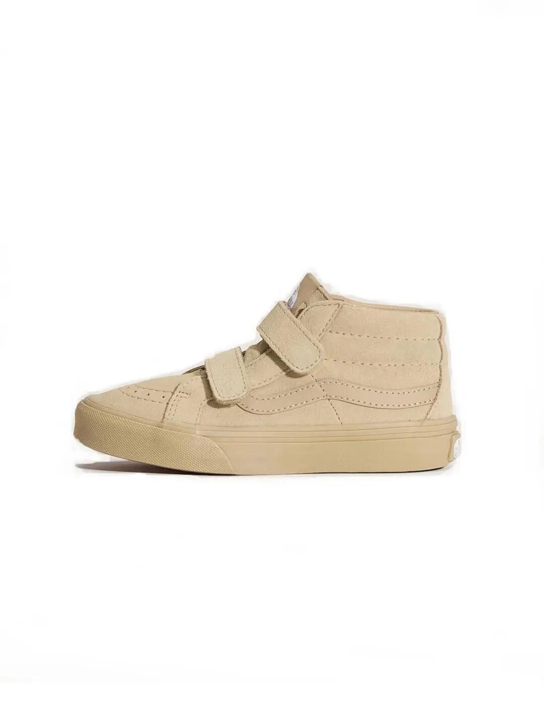 VANS picture