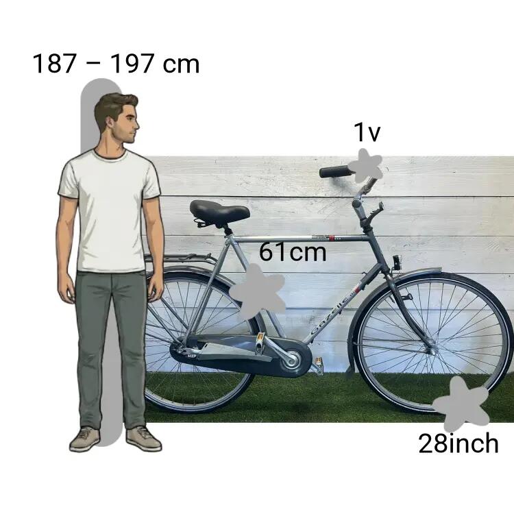 Tweedehands Gazelle Impala 2/4