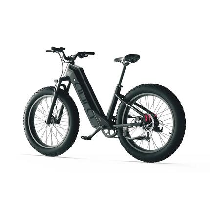 Vélo électrique tout-terrain Cyrusher Aura – 52 V 250 W avec un couple de 95 Nm