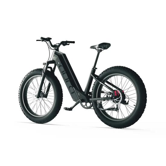 Vélo électrique tout-terrain Cyrusher Aura – 52 V 250 W avec un couple de 95 Nm