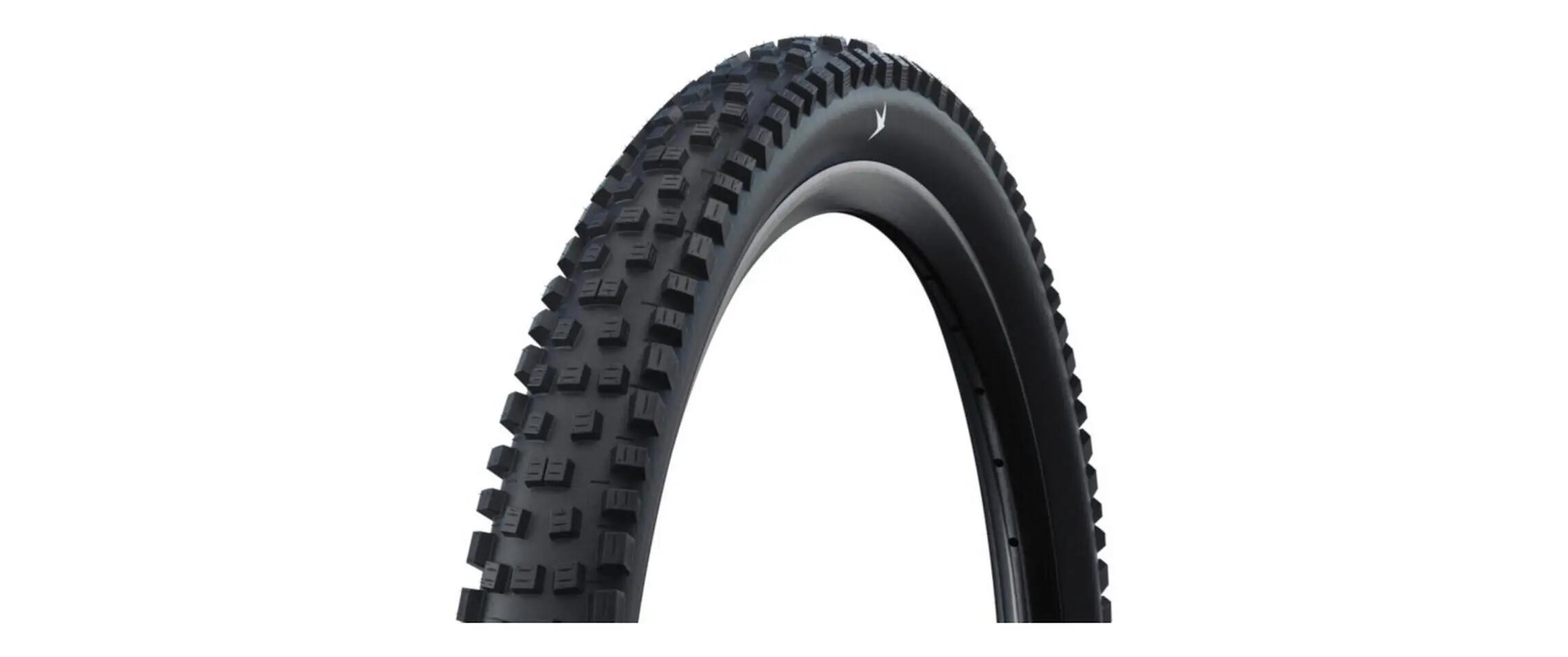 SCHWALBE picture