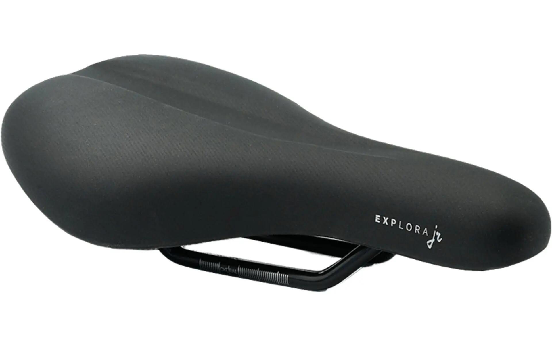 SELLE ROYAL picture