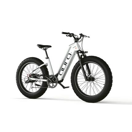 Vélo électrique tout-terrain Cyrusher Aura – 52 V 250 W avec un couple de 95 Nm
