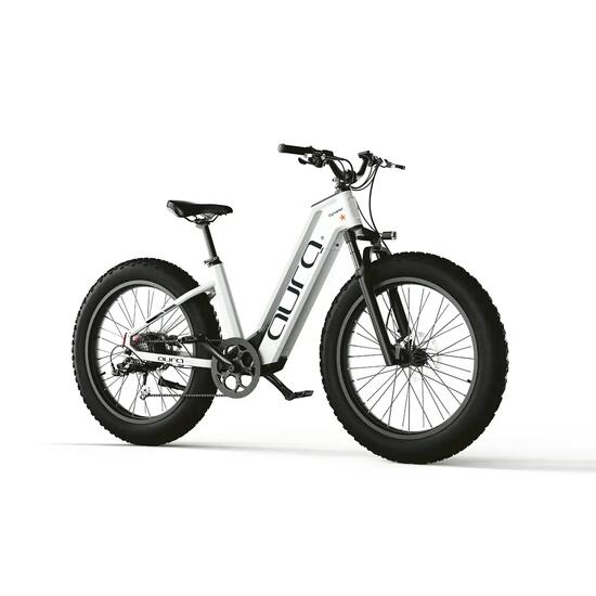 Vélo électrique tout-terrain Cyrusher Aura – 52 V 250 W avec un couple de 95 Nm