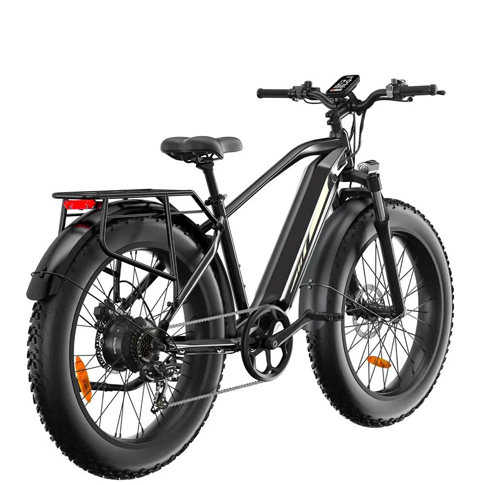 Bodywel D6 Electric Mountain Bike with 250W motor and 48V15AH Battery