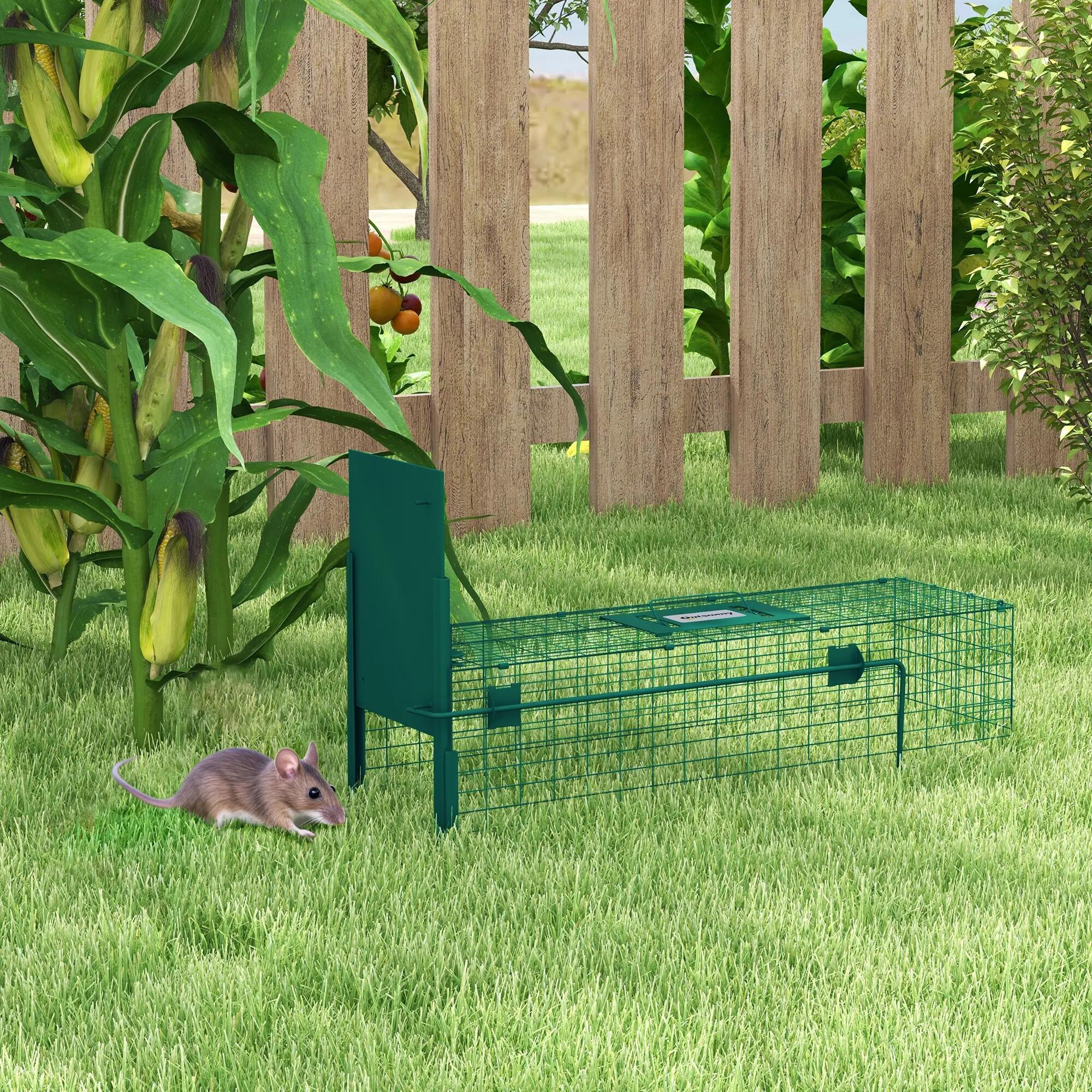 Cage-piège pour petits animaux avec une porte et une poignée, 80 x 25 x 30 cm, v 3/9