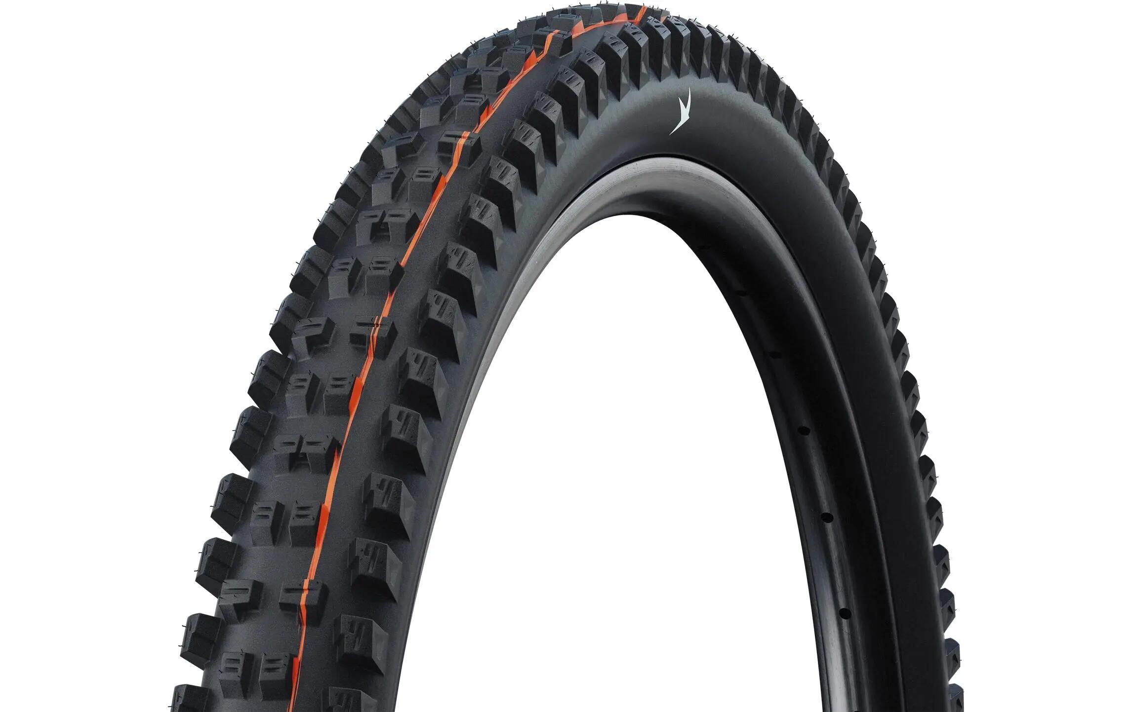 SCHWALBE picture