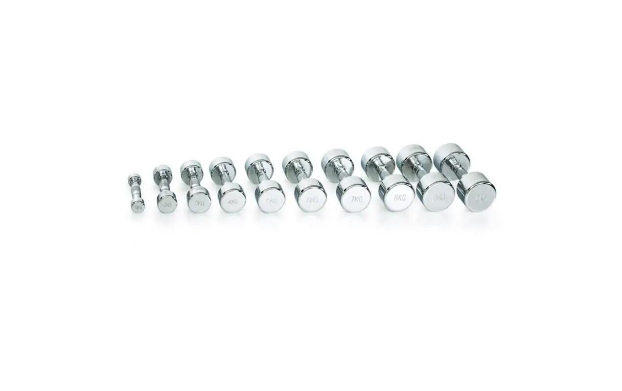 Gymstick Pro Chrome Dumbbell Single 1 kg Silver Steel 3/4