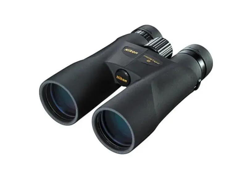 NIKON picture