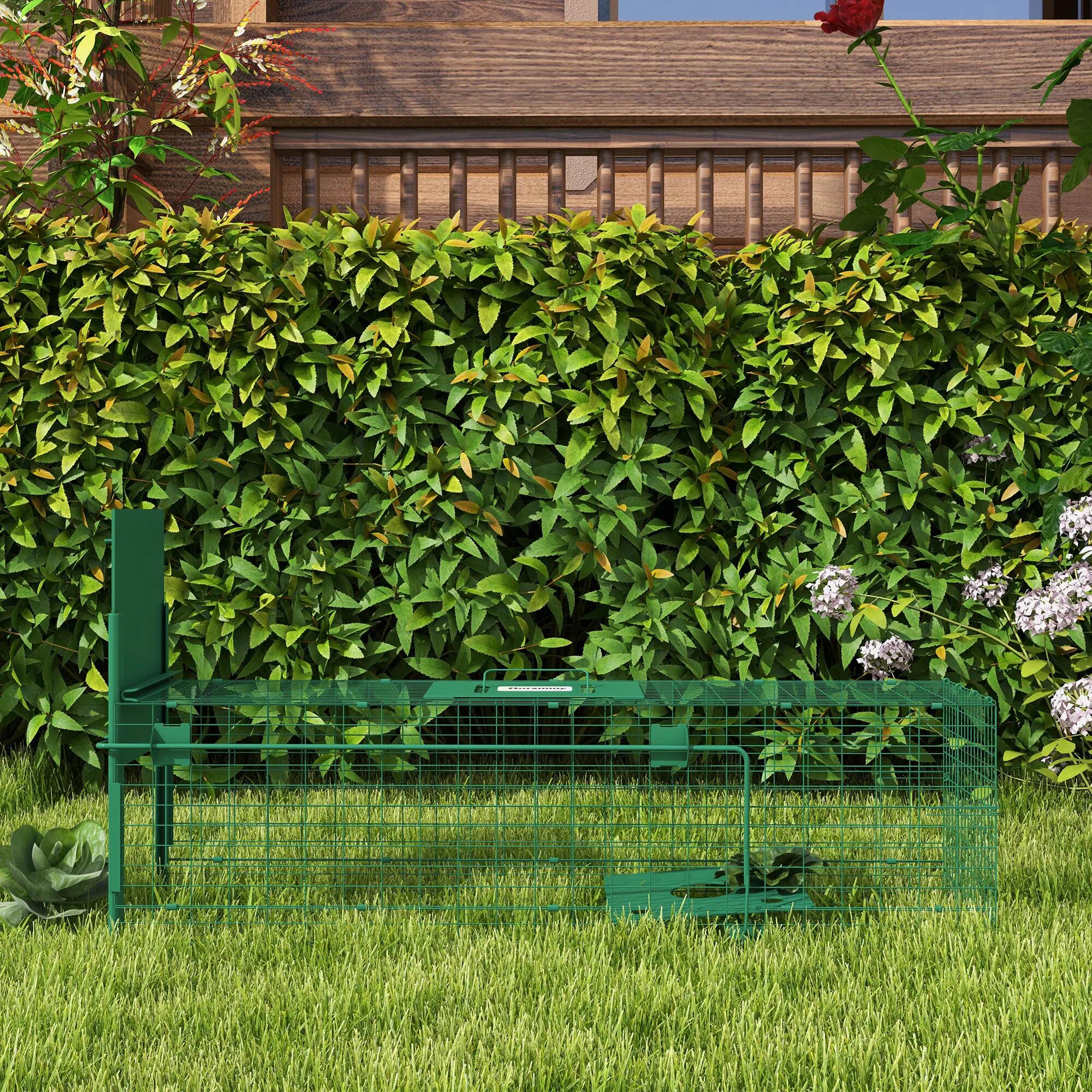 Cage attrape animaux nuisibles 1 entrée dim. 100L x 25l x 28H cm vert foncé 4/9