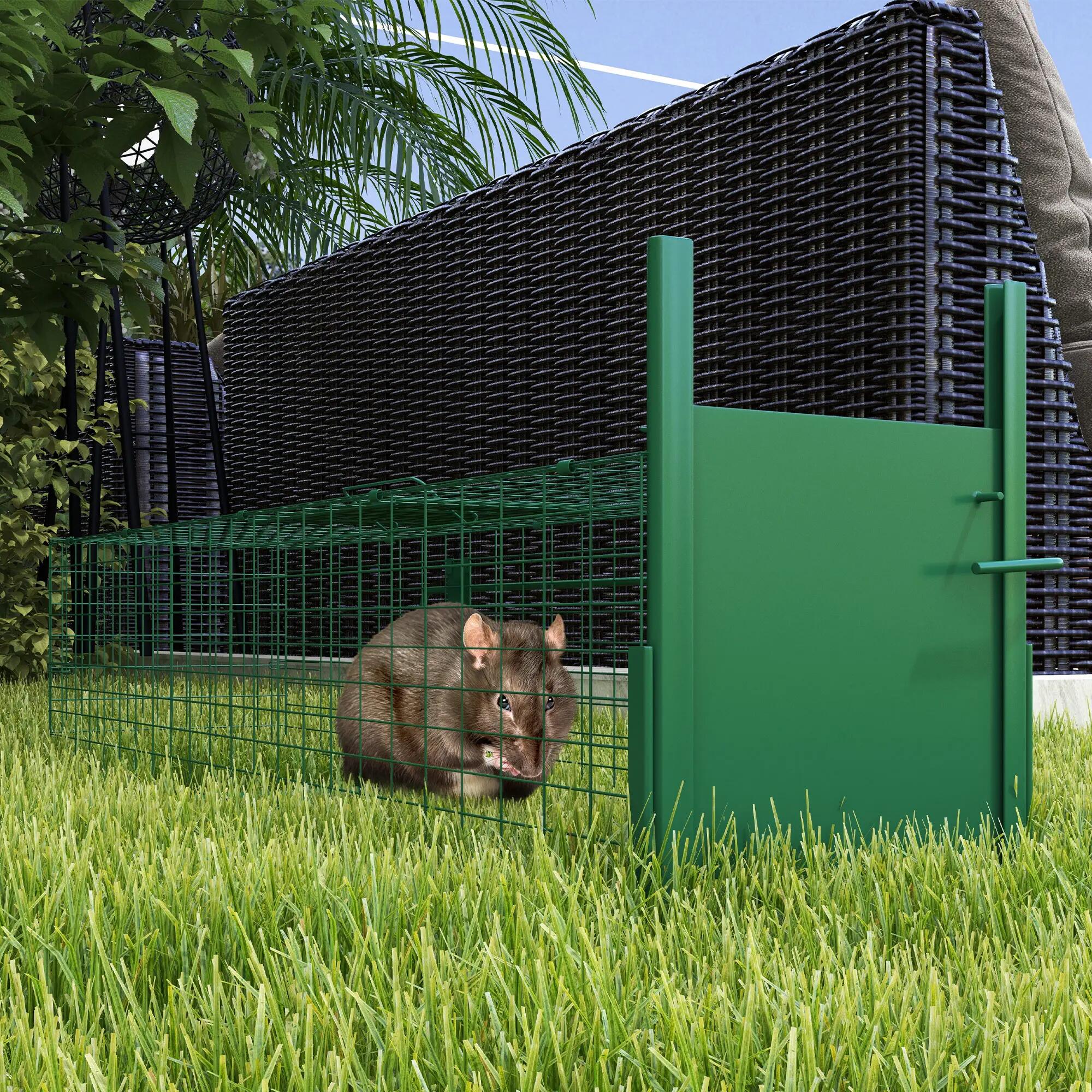 Cage attrape animaux nuisibles 1 entrée dim. 100L x 25l x 28H cm vert foncé 3/9