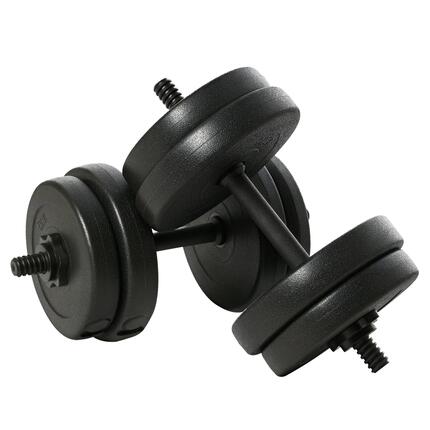 Ensemble d'haltères de 20 kg (4 x 2,5 kg, 4 x 2 kg) avec 8 disques de 2 kg et 2,