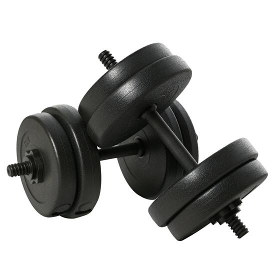 Ensemble d'haltères de 20 kg (4 x 2,5 kg, 4 x 2 kg) avec 8 disques de 2 kg et 2,