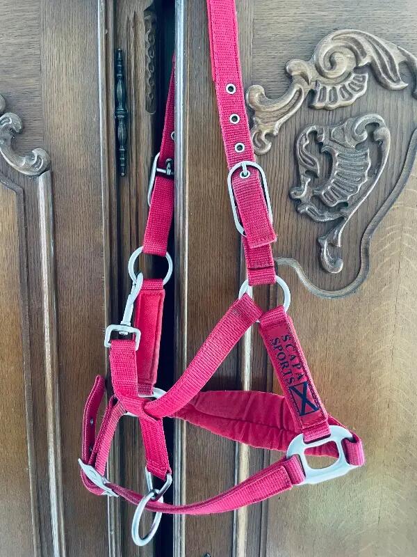 Tussen Particulieren - Rood Scapa Sport-halster voor pony’s 4/4