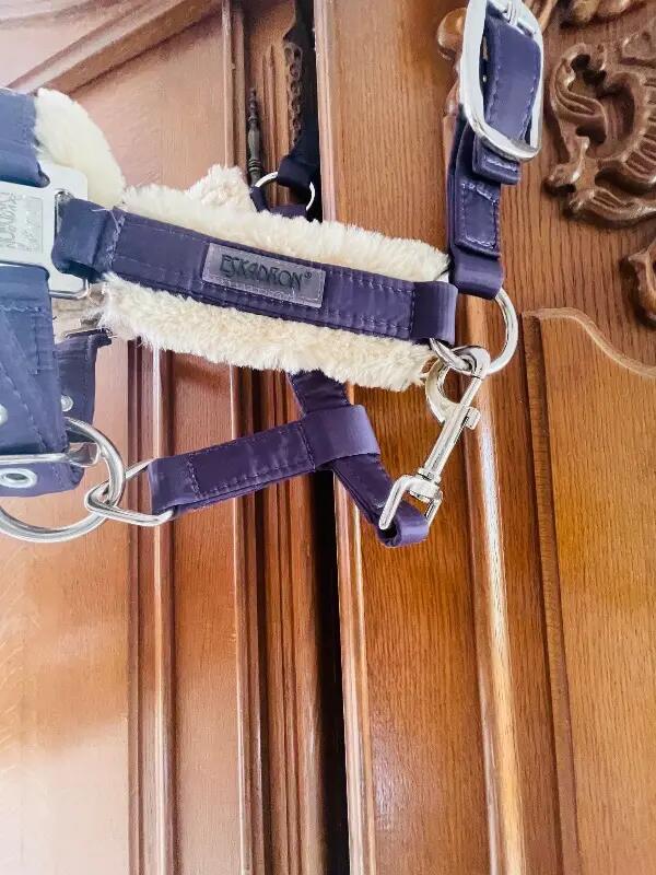 Tussen Particulieren - Eskadron-halster, paars, voor pony’s 6/6