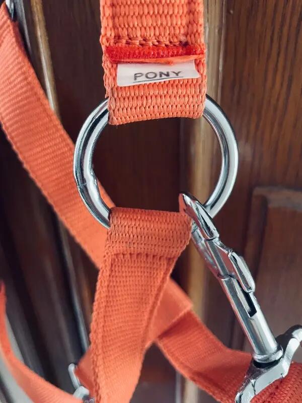 Tussen Particulieren - First Lady-halster, koraalkleurig, voor pony’s 4/4