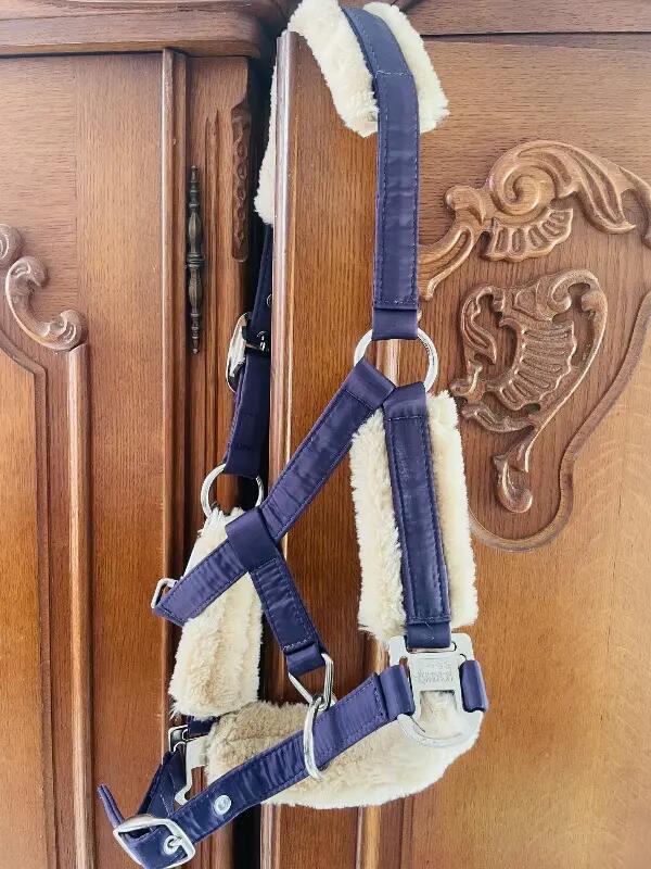 Tussen Particulieren - Eskadron-halster, paars, voor pony’s 5/6