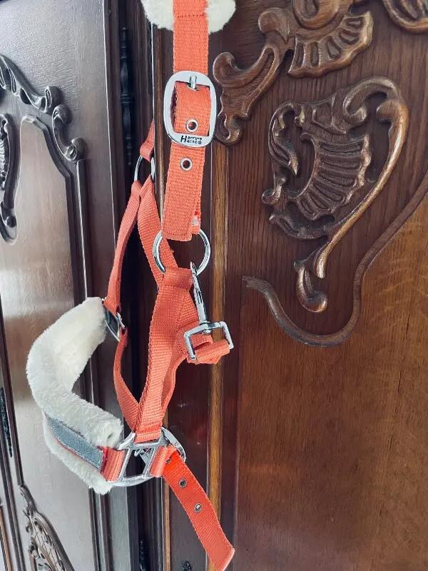 Tussen Particulieren - First Lady-halster, koraalkleurig, voor pony’s 3/4