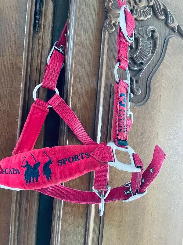 Tussen Particulieren - Rood Scapa Sport-halster voor pony’s 2/4