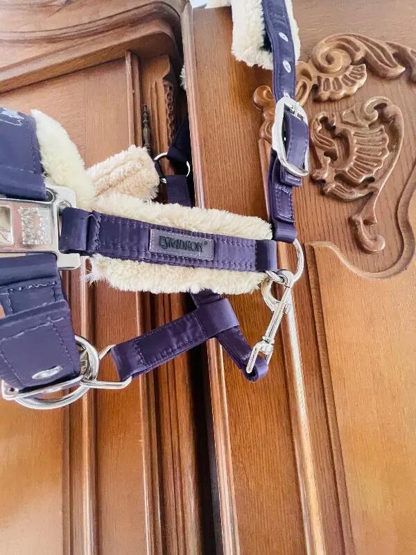 Tussen Particulieren - Eskadron-halster, paars, voor pony’s 4/6